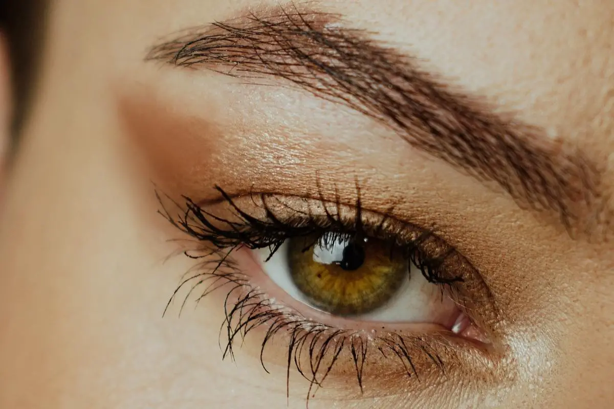 O-que-é-o-Foxy-Eye